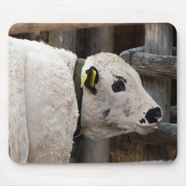 Pustertal Pied Calf Mousepad (Vorne)