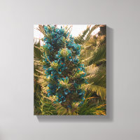 Puya Berteroniana #1 Leinwand