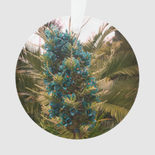 Puya Berteroniana #1 Ornement