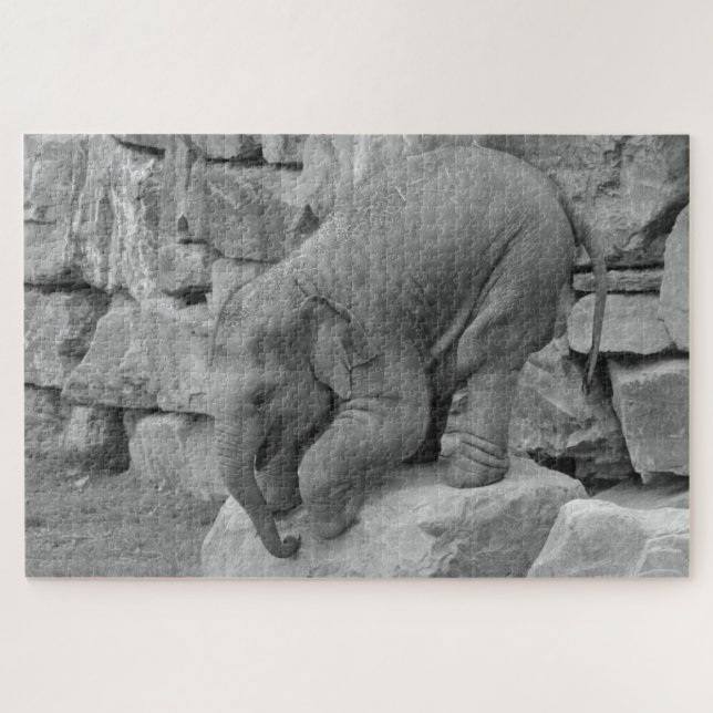 Puzzle (Horizontal)