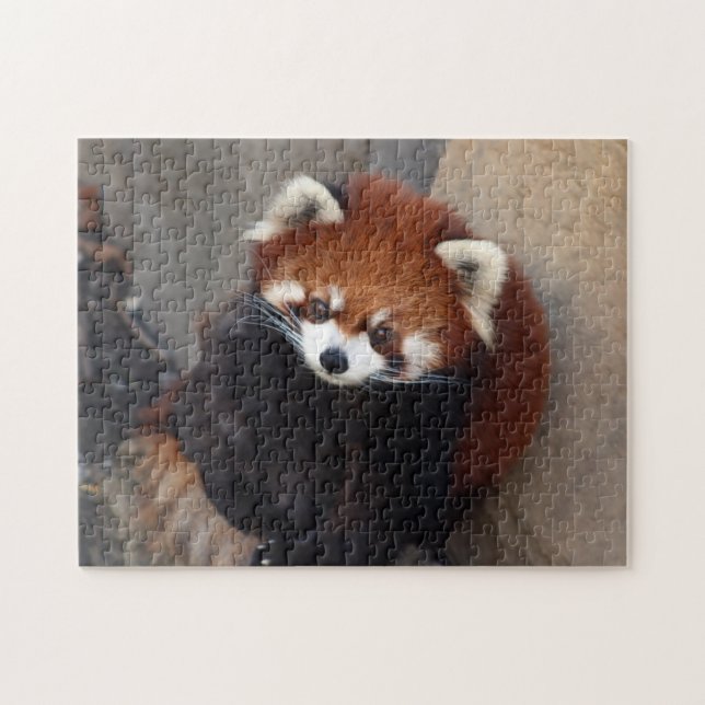 Puzzle (Horizontal)