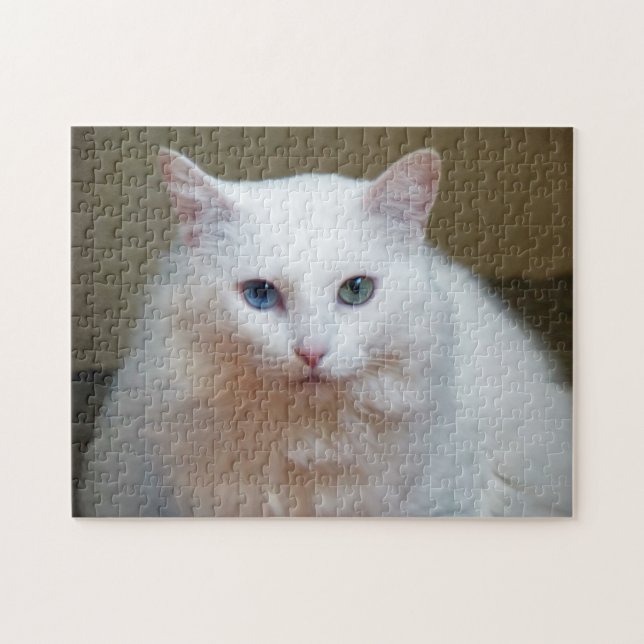 Puzzle (Horizontal)