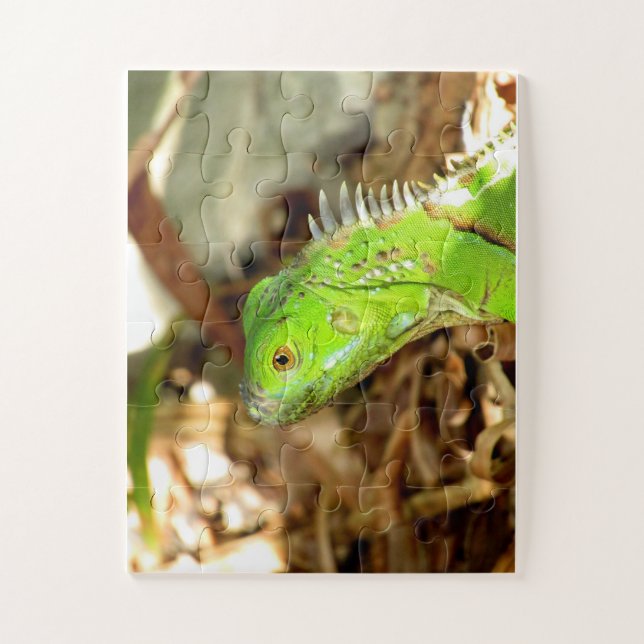 puzzle (Vertical)