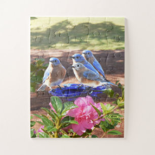 Puzzle 050 oiseaux bleus déconcertent pour toujours les