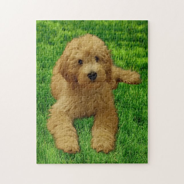 Puzzle 11x14 Rex The Goldendoodle (Vertical)