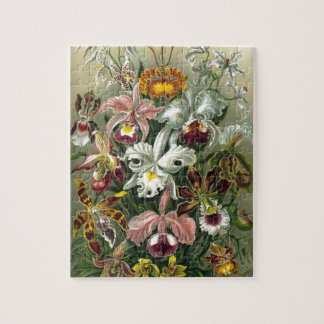 Puzzle 1904 formes d'art d'orchidées de copie de nature