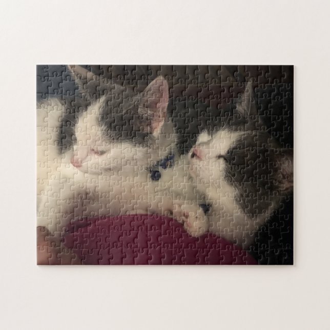 Puzzle 252 pièces (Horizontal)