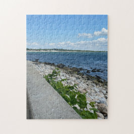 Puzzle 252 pièces