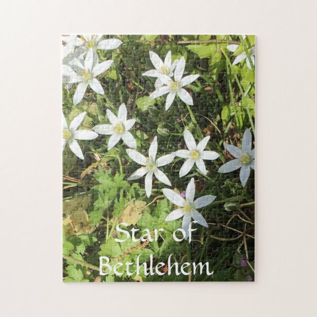 Puzzle 252 pièces (Vertical)