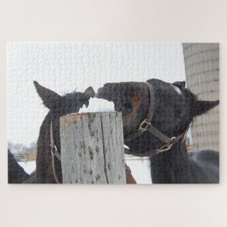 Puzzle 2 Chevaux mâchant sur une clôture neigeuse