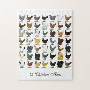 Puzzle 49 poules de poulet