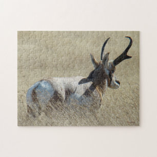 Puzzle A14 Pronghorn Antelope Sunshine Buck