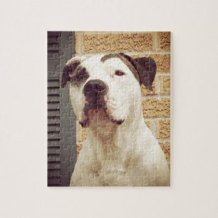 Puzzle À l'os de pitbull