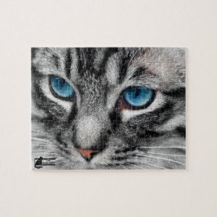 Puzzle A-PAL - Le chat tigré argenté avec des yeux bleus 