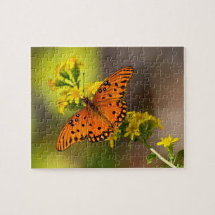 Puzzle à papillon du golfe du Fritillaire