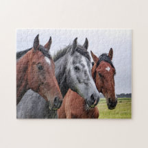 Puzzle à trois chevaux