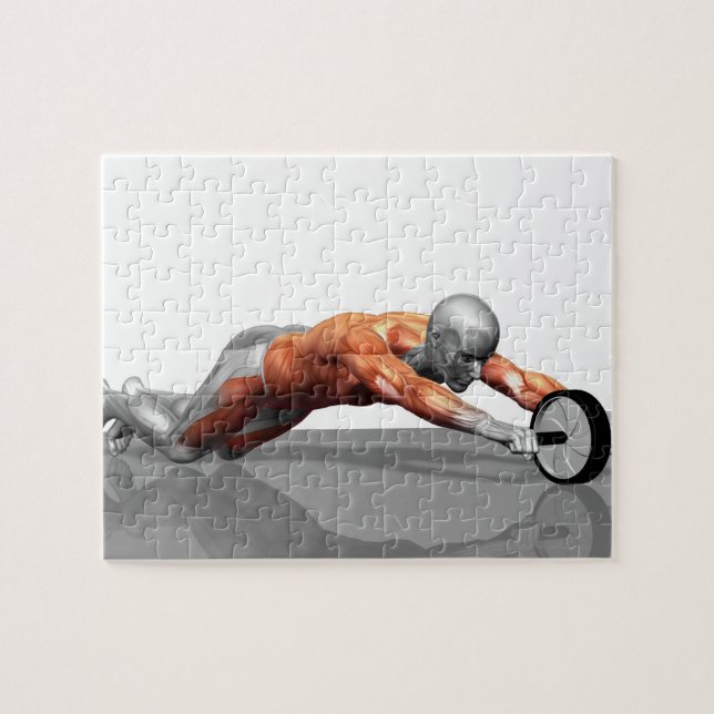 Puzzle Ab Wheel (Horizontal)