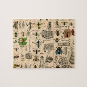 Puzzle Abeille Insecte Bug Wasp Nature Peinture des abeil