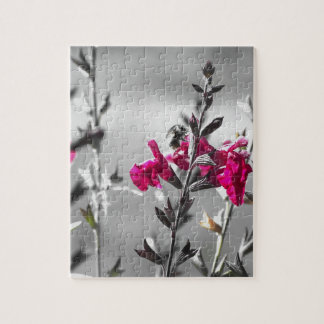 Puzzle Abeille noire et blanche