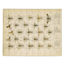 Abeilles et guêpes de Cameron 1883-1890