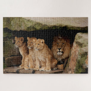 Puzzle Abrite de la pluie
