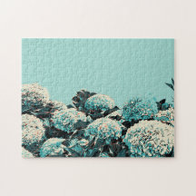 Açores cadeau, Hydrangeas Illustration Portugal