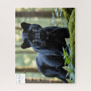 Puzzle Adda_Bouch guépard