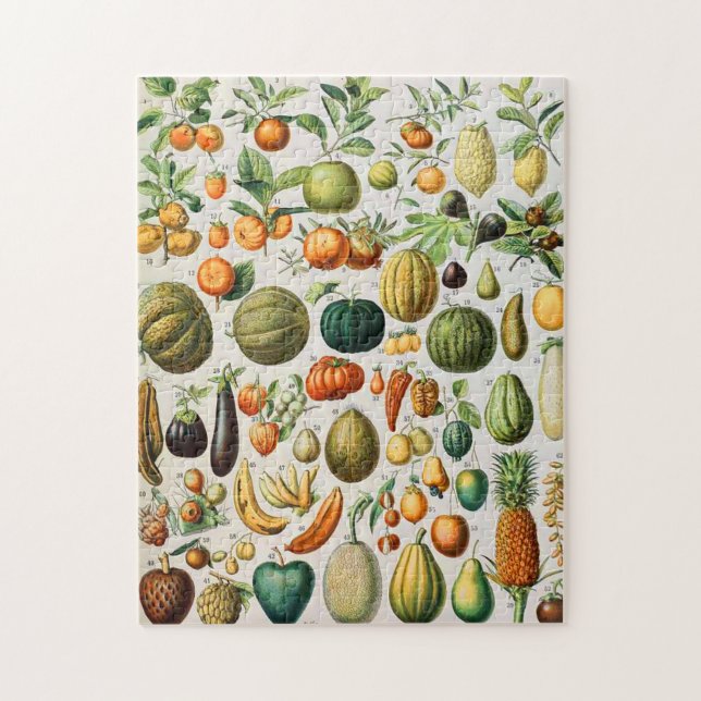 Puzzle Adolphe Millot fruits B (Vertical)