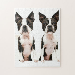 Puzzle Adorable Boston Terrier Cartoon Chien