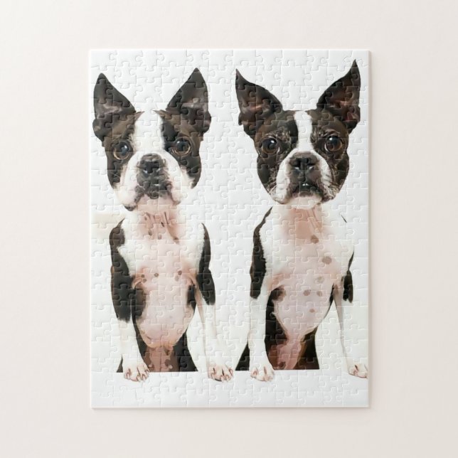 Puzzle Adorable Boston Terrier Cartoon Chien (Vertical)