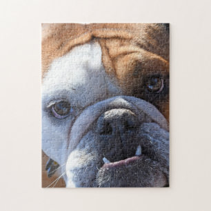 Puzzle Adorable Bulldog
