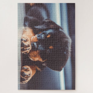 Puzzle Adorable Chien de Chien de Chien De Chien De Chien