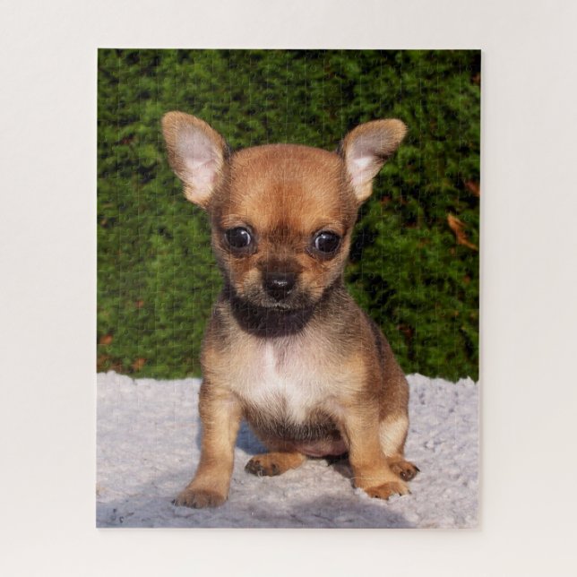 Puzzle Adorable Chihuahua Chien Chiot (Vertical)