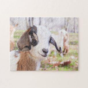Puzzle Adorable et amusant bébé chèvre animal Jigsaw Puzz