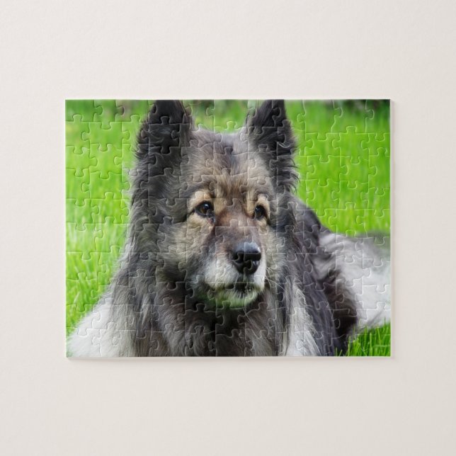 Puzzle Adorable Keeshond (Horizontal)