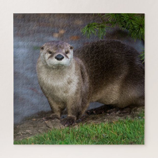 Puzzle Adorable Otter sur la Riverbank (Vertical)