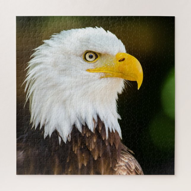 Puzzle Adulte Patriotique Adulte (Vertical)