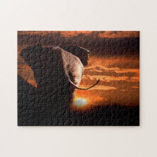 Puzzle Africa Bull Elephant dans le Soleil Cadre.