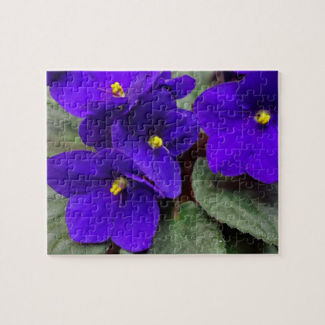 Puzzle africain des fleurs de violet (Horizontal)
