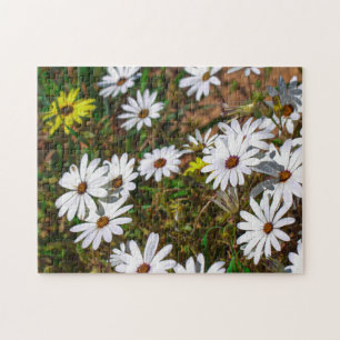 Puzzle Afrique du Sud Velddrif West Coast Fleurs sauvages