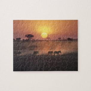 Puzzle Afrique, Kenya, Amboseli NP. Zèbres marchent vers 