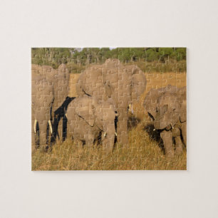 Puzzle Afrique, Kenya, Masai Mara. Éléphant d'Afrique