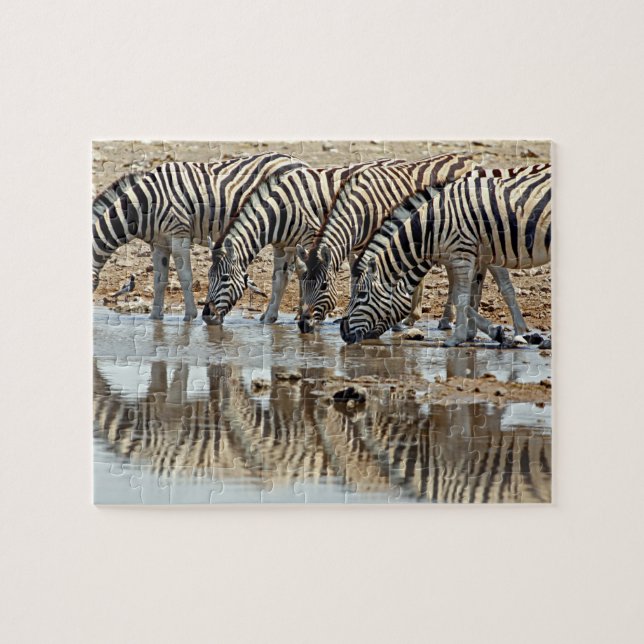 Puzzle Afrique, Namibie, Etosha NP. Zebra de Burchell (Horizontal)