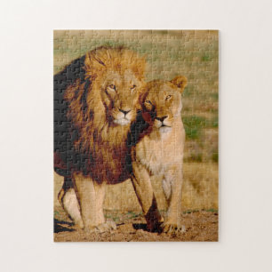 Puzzle Afrique, Namibie, Okonjima. Lion & lionne