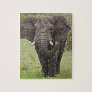 Puzzle Afrique Tanzanie Elephant au cratère de Ngorongoro