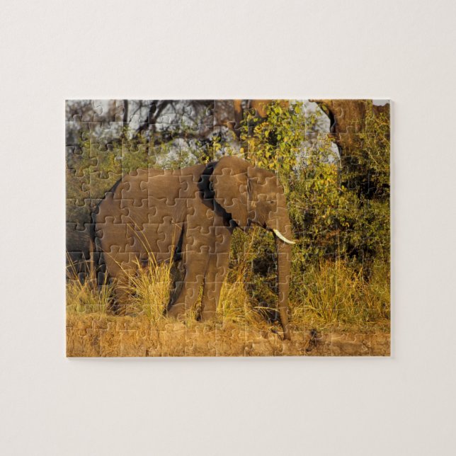 Puzzle Afrique, Zimbabwe, Victoria Falls National Park. (Horizontal)