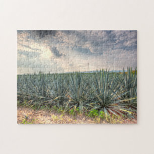 Puzzle Agave bleu