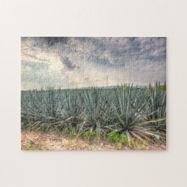 Puzzle Agave bleu (Horizontal)