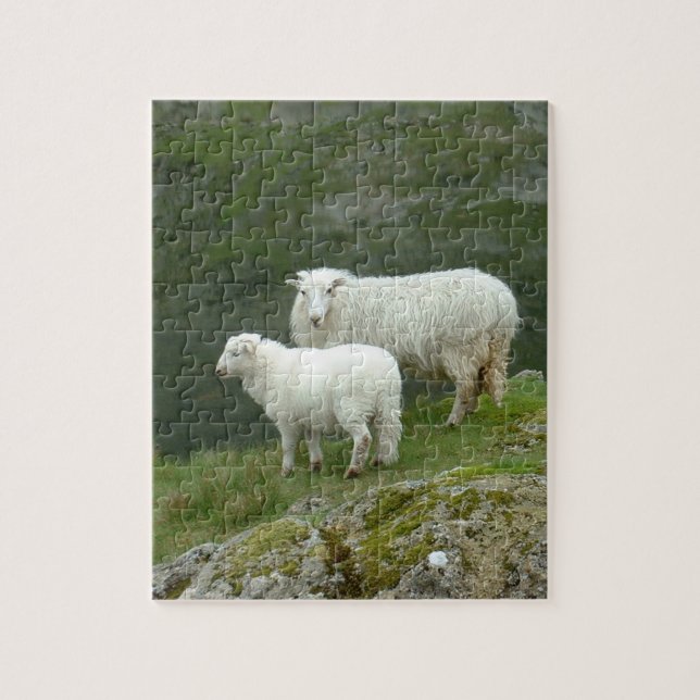 Puzzle Agneau et mouton - Campagne écossaise/britannique (Vertical)