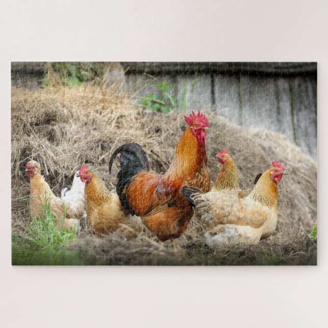 Puzzle Agritourisme rustique rural Poulet à la volaille N (Horizontal)